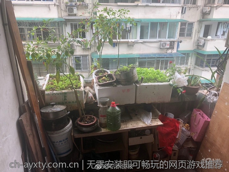 无需安装即可畅玩的网页游戏推荐