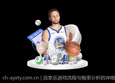 百家乐游戏流程与概率分析的详细指南